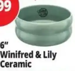 Ocean State Job Lot Winifred & Lily Ceramic offer