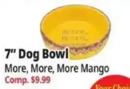 Ocean State Job Lot More, More, More Mango 7" Dog Bowl offer