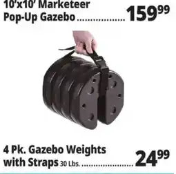 Ocean State Job Lot 4 pk. gazebo weights with straps offer