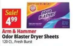 Ocean State Job Lot Arm & Hammer Odor Blaster Dryer Sheets offer