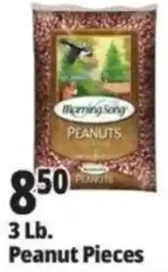 Ocean State Job Lot Morning Song peanuts offer