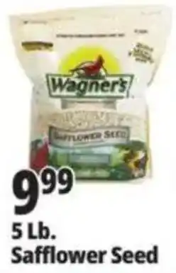 Ocean State Job Lot Wagner's Safflower Seed offer