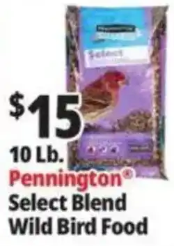 Ocean State Job Lot Pennington Select Blend Wild Bird Food offer