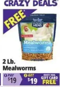 Ocean State Job Lot Hungry Hens Mealworms offer