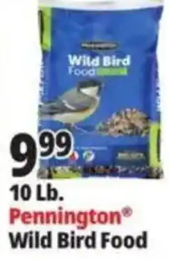 Ocean State Job Lot Pennington Wild Bird Food offer