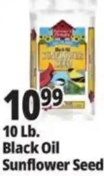 Ocean State Job Lot Black Oil Sunflower Seed offer