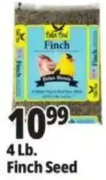 Ocean State Job Lot Delta Finch Finch Seed offer
