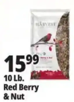 Ocean State Job Lot Harvest Red Berry & Nut offer