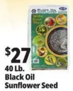 Ocean State Job Lot Black Oil Sunflower Seed offer
