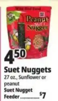 Ocean State Job Lot Wild Bird Food Peanut Suet Nuggets offer