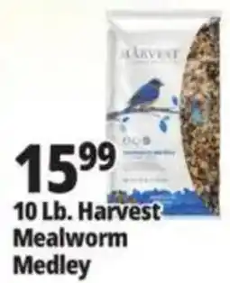 Ocean State Job Lot Harvest Mealworm Medley offer