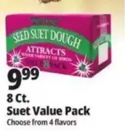 Ocean State Job Lot Seed suet dough value pack offer
