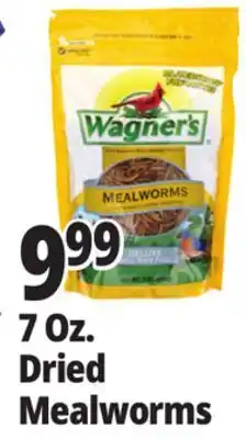 Ocean State Job Lot Wagner's Bird Meal Worms 7oz offer