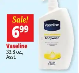 Ocean State Job Lot Vaseline offer