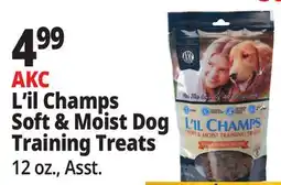 Ocean State Job Lot L'il Champs AKC Soft & Moist Dog Training Treats Turkey 12oz offer