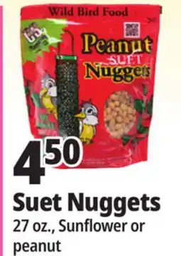 Ocean State Job Lot Suet Nuggets offer