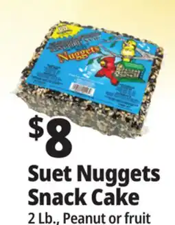 Ocean State Job Lot C&S EZ Fill Suet Cake or Snak Feeder offer
