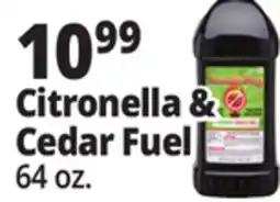Ocean State Job Lot ScatterBug Citronella Torch Fuel 64 oz offer