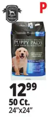 Ocean State Job Lot 24x24 Puppy Pads with Odor Eliminators 50 Count offer
