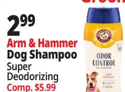 Ocean State Job Lot Arm & Hammer Dog Shampoo Super Deodorizing offer