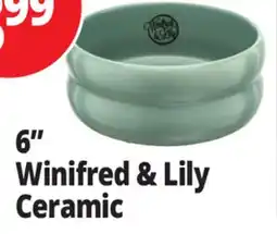 Ocean State Job Lot 6 Winifred & Lily Ceramic offer