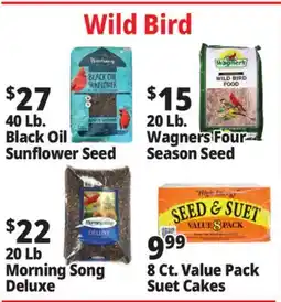 Ocean State Job Lot Wild Bird offer