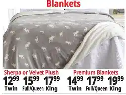 Ocean State Job Lot Sherpa or Velvet Plush Twin Full/Queen King offer