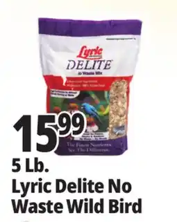 Ocean State Job Lot 5 Lb. Lyric Delite No Waste Wild Bird offer