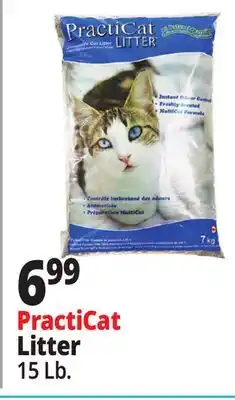 Ocean State Job Lot Premium Scoopable Cat Litter 15 lbs offer