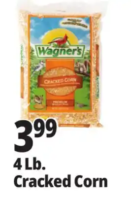 Ocean State Job Lot Wagner's Cracked Corn Wild Bird Food 4 lbs offer