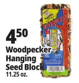 Ocean State Job Lot Audubon Park Songbird Bell Wild Bird Food 15.5 oz offer