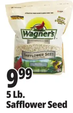 Ocean State Job Lot Wagner's Safflower Seed Deluxe Wild Bird Food offer