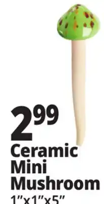 Ocean State Job Lot Outdoor Living Accents Mini Ceramic Mushroom 5.5 offer