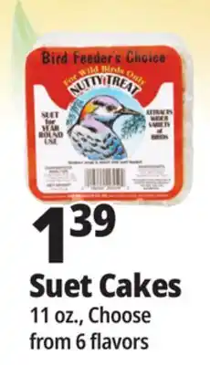 Ocean State Job Lot Bird Feeder's Choice High Energy Suet 11 oz offer