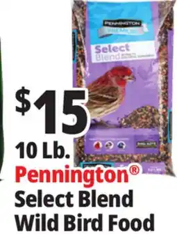 Ocean State Job Lot Pennington Premium Select Blend Bird Seed 10 lb offer
