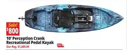 Ocean State Job Lot Perception Crank 10.0 Recreational Pedal Kayak Dapper offer
