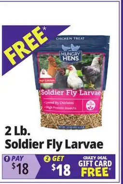 Ocean State Job Lot Hungry Hens Soldier Fly Larvae 2 lbs offer