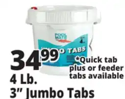 Ocean State Job Lot Pool Mate 3 Jumbo Chlorine Tabs 4 lbs offer