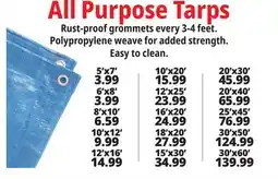 Ocean State Job Lot All-Purpose Tarps offer