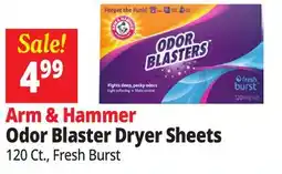 Ocean State Job Lot Arm & Hammer Fresh Burst Scent Odor Blasters Dryer Sheets 120 Count offer