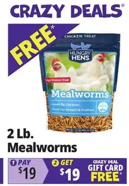 Ocean State Job Lot Hungry Hens Mealworms 2 lbs offer