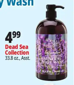 Ocean State Job Lot Dead Sea Lavender Mineral Body Wash offer