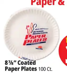 Ocean State Job Lot Leisure Way Paper Plates 100 ct 8.875 offer