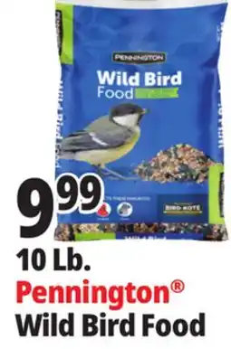 Ocean State Job Lot Pennington Wild Bird Food 10 lbs offer
