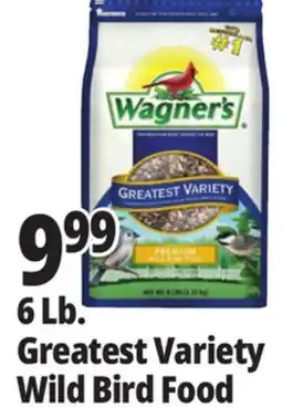 Ocean State Job Lot Wagner's Greatest Variety Deluxe Wild Bird Food 6 lbs offer