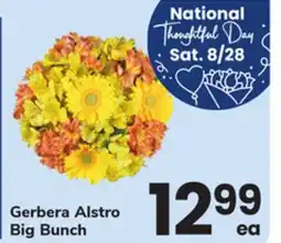 ACME Gerbera Alstro Big Bunch offer