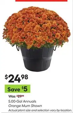 Lowe's 5.00-Gal Annuals Orange Mum Shown offer