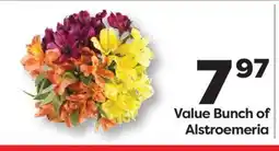 Weis Markets Value Bunch of Alstroemeria offer