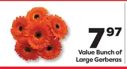 Weis Markets Value Bunch of Large Gerberas offer