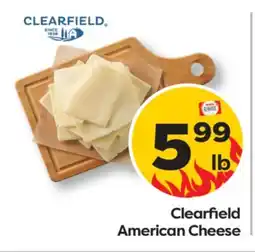 Weis Markets Clearfield American Cheese offer